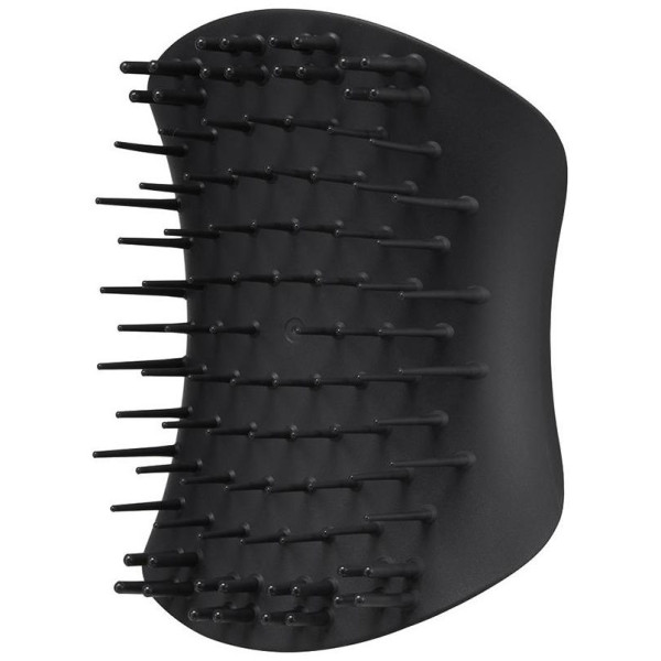 Scalp Brushes Black 1 U