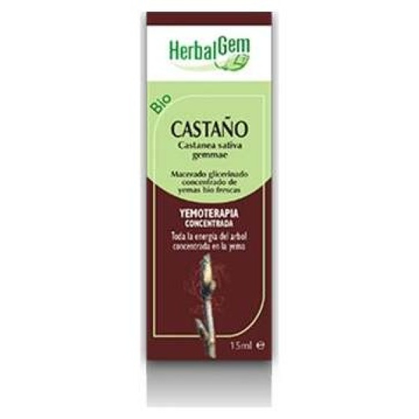 Castaño Macerado Glicerinado 50Ml.