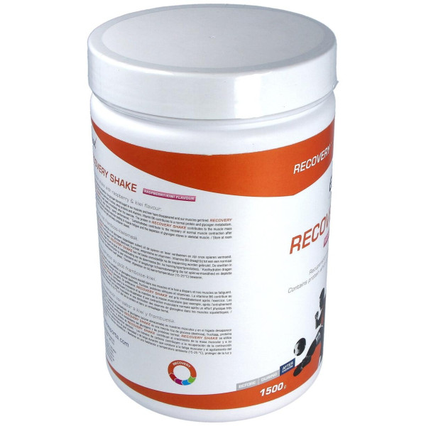 Etixx Recovery Sabor Raspberry/Kiwi 1,5Kg.