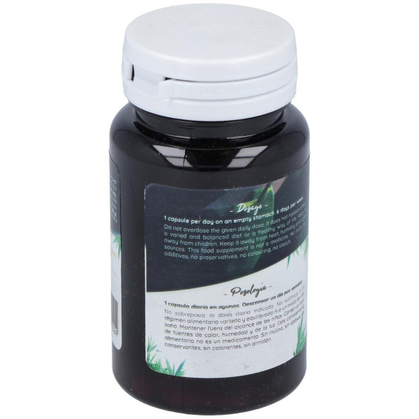 San Probiotic Human Specific Ferment 60Cáps