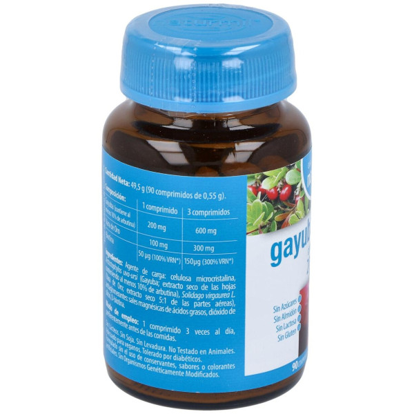 Dietmed Gayuba Complex 200Mg 90Comp