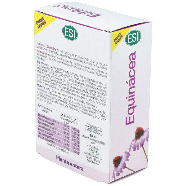 Echinaid Alta Potencia 60Cps