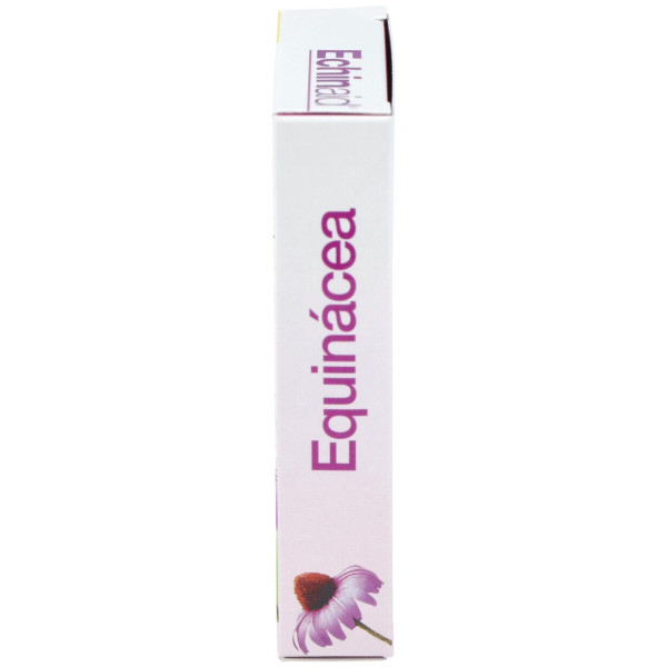 Echinaid Urto 30Cap.