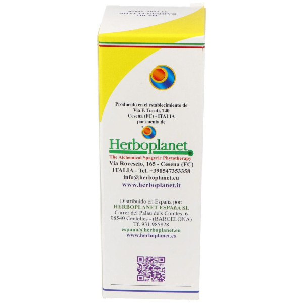 Hs 102 Bardana Comp. Gotas 100Ml S/Al