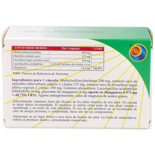 Allersol Blister 60Cap.