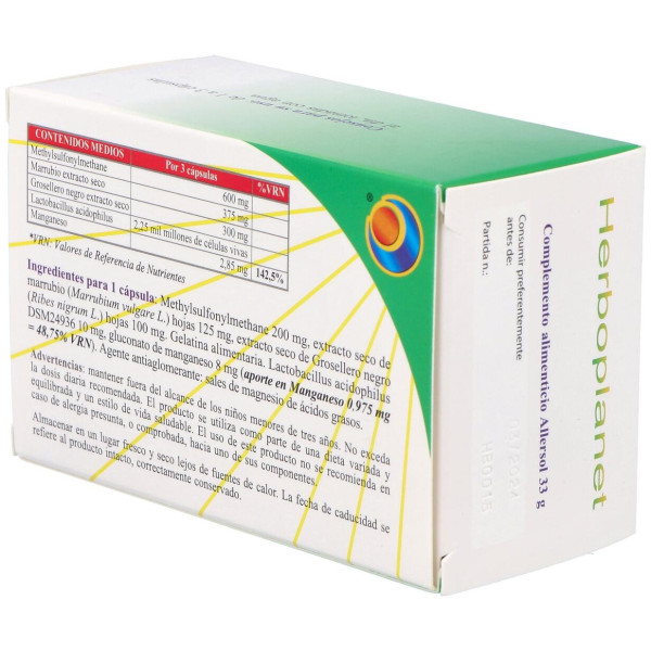 Allersol Blister 60Cap.