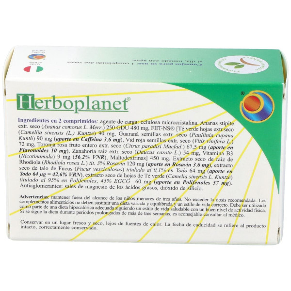 Hs 112 Ananas Comp. 48Comp.