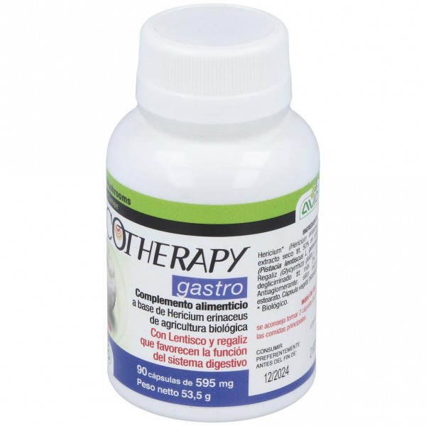 Micoteraphy Gastro 595 Mg 90 Capsulas Avd