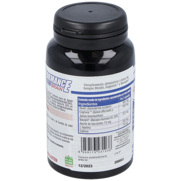 Performance Brain 60Cap.