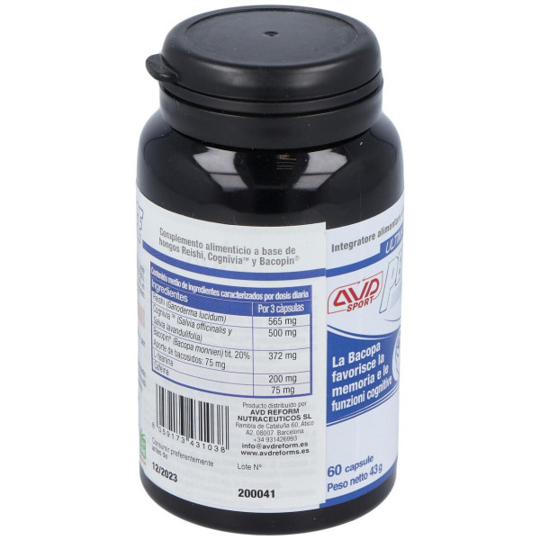 Performance Brain 60Cap.