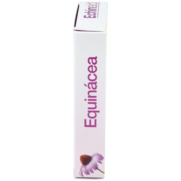 Echinaid Urto 30Cap.