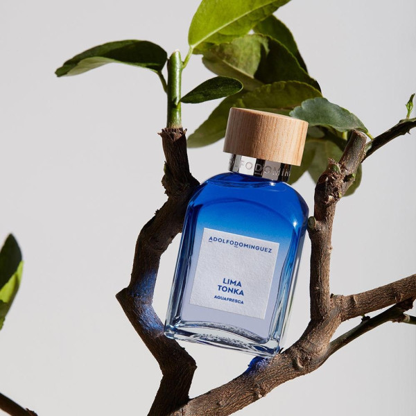 Adolfo Dominguez Agua Fresca Ltonka Eau De Toilette 120Ml