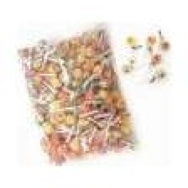 Mini Pops Caramelo Con Palo 1Kg. Sg