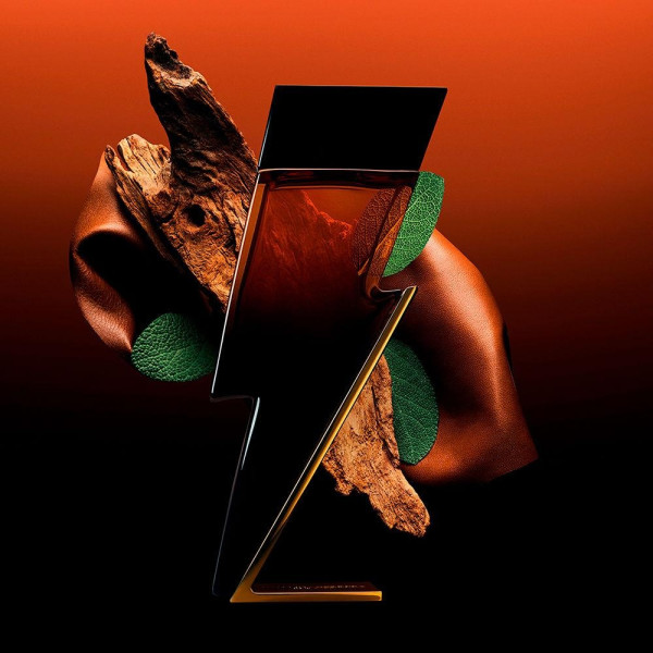 Bad Boy Elixir Edp Vapo 100 Ml