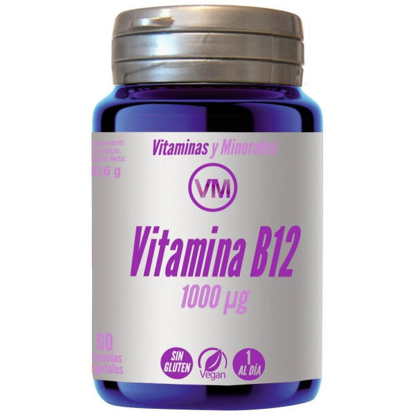 Ynsadiet Vitamina C 1000 Mg 60 Cápsulas