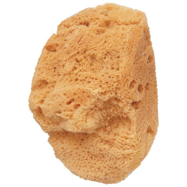 Esponja De Baño Natural Marina 1 Pz
