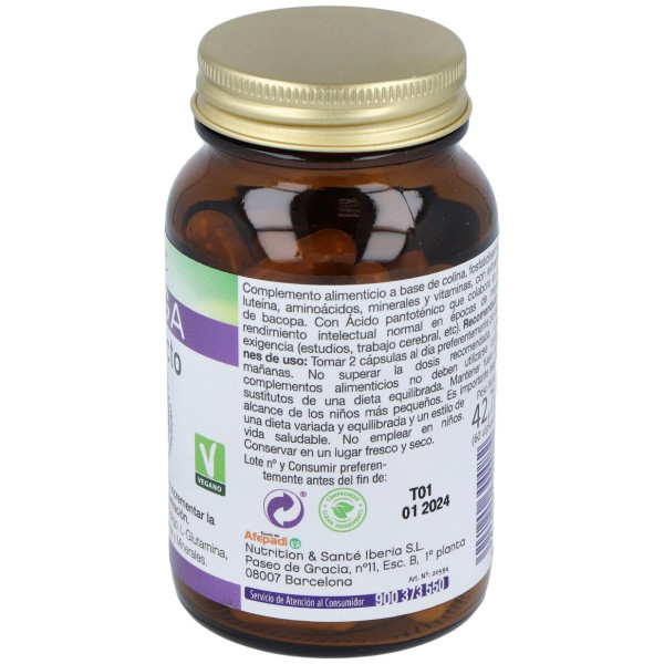 Mega Intelecto 60Cap.