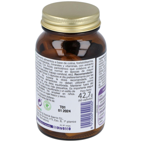 Mega Intelecto 60Cap.