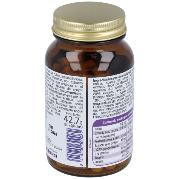 Mega Intelecto 60Cap.