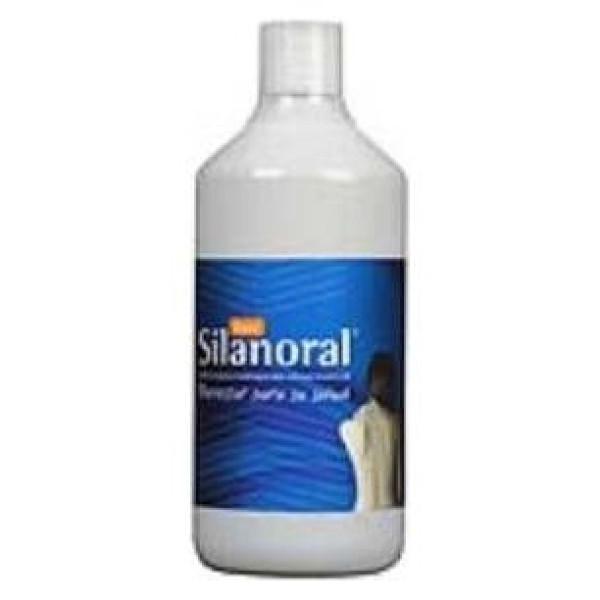 Mca Productos Naturales Silanoral Basic 1L