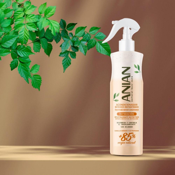 Anian Bifásico Acondicionador Reparación 400Ml