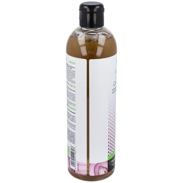 Champu Cebolla + Vinagre De Manzana 400Ml.