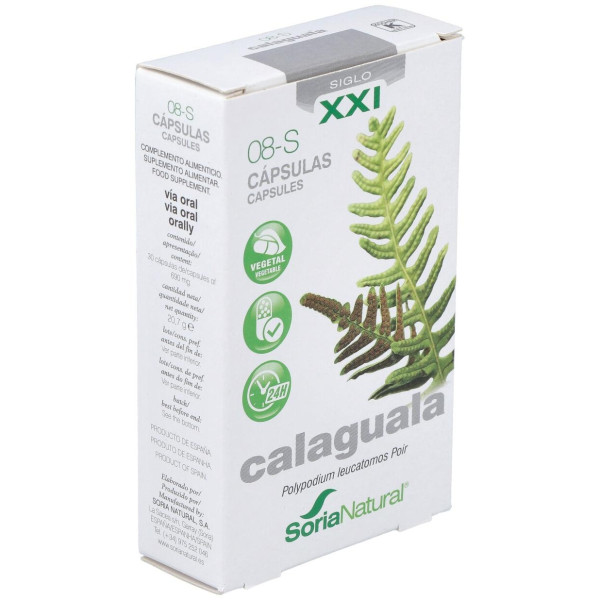 Calaguala 30 Caps Xxi Soria Natural