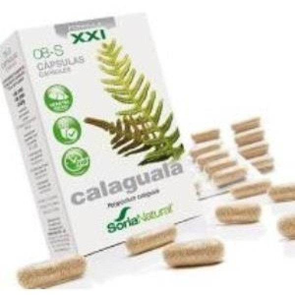 Calaguala 30 Caps Xxi Soria Natural