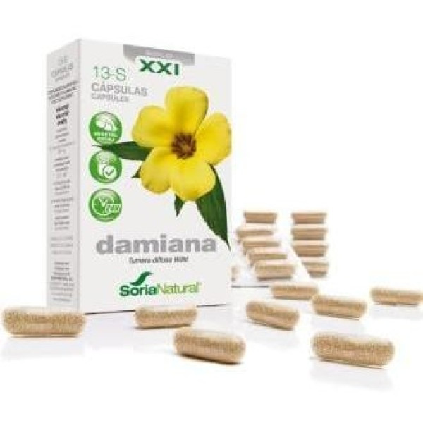 Cap.S 13 Damiana Xxi 30Cap.