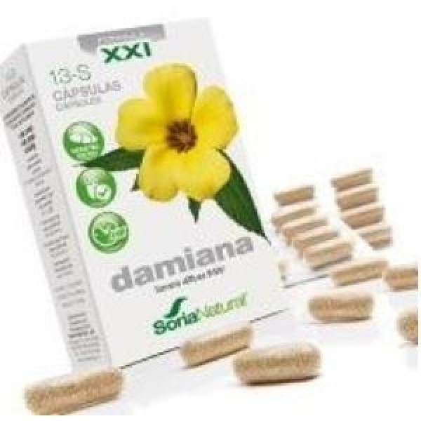 Cap.S 13 Damiana Xxi 30Cap.