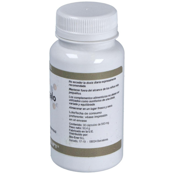 Ortocel Astragalo 400Mg 90Caps