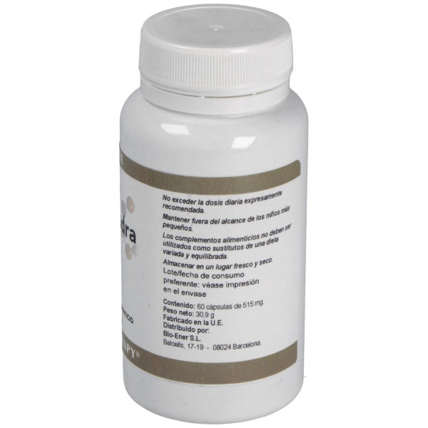 Ortocel Nutri-Therapy Schisandra 300Mg 60Caps