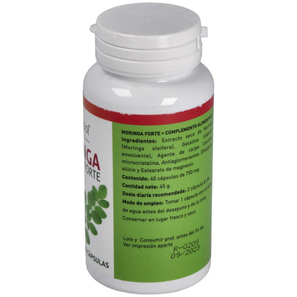 Moringa Forte Plantapol 60 Cápsulas