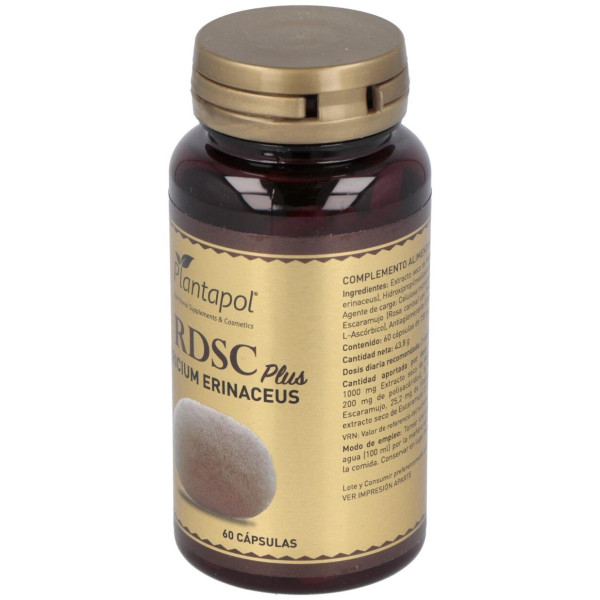 Rdsc Plus Melena De Leon + Escaramujo 60Cap.