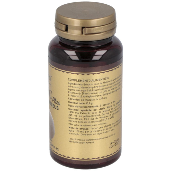 Rdsc Plus Melena De Leon + Escaramujo 60Cap.