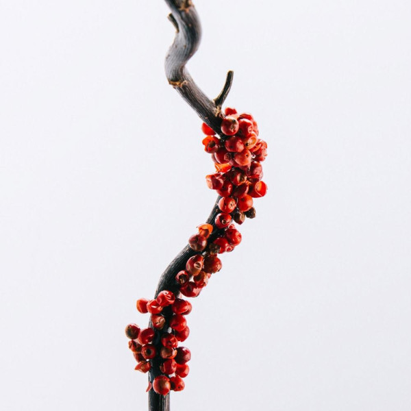 Loewe 7 Eau De Toilette Vaporizador 150 Ml