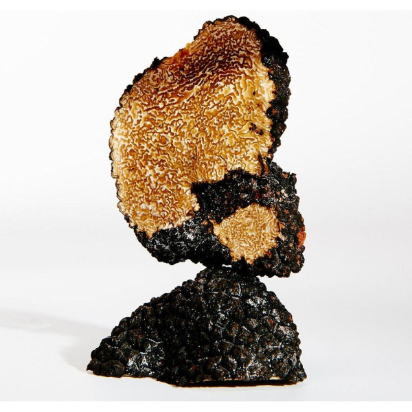 Earth Eau De Parfum Vaporizador 100 Ml