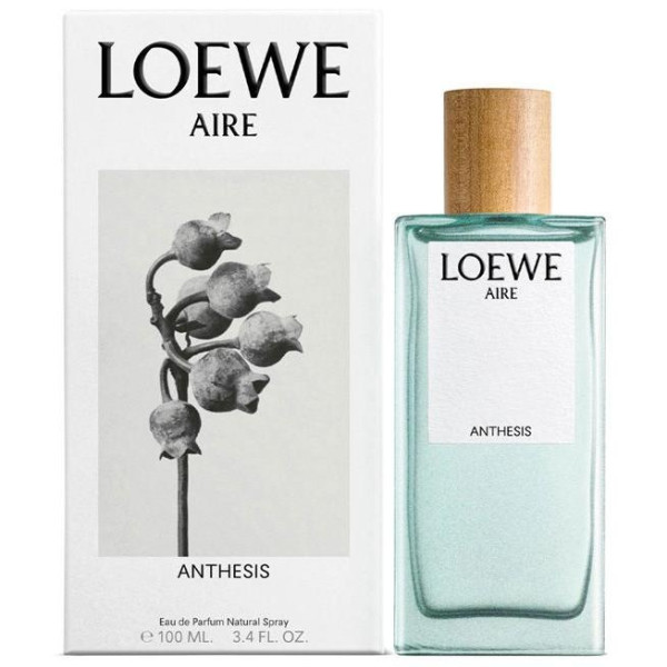 Aire Anthesis Edp Vapo 100 Ml