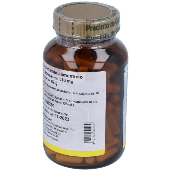 Cfn Enzym Complex 120Caps