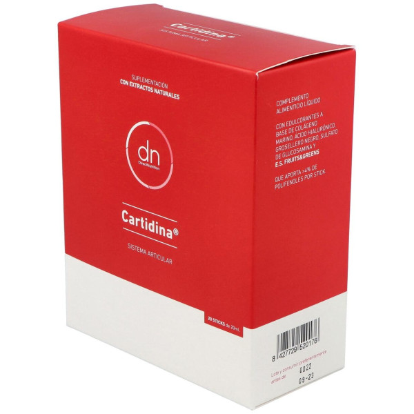 Direct Nutrition Cartidina 20Uds