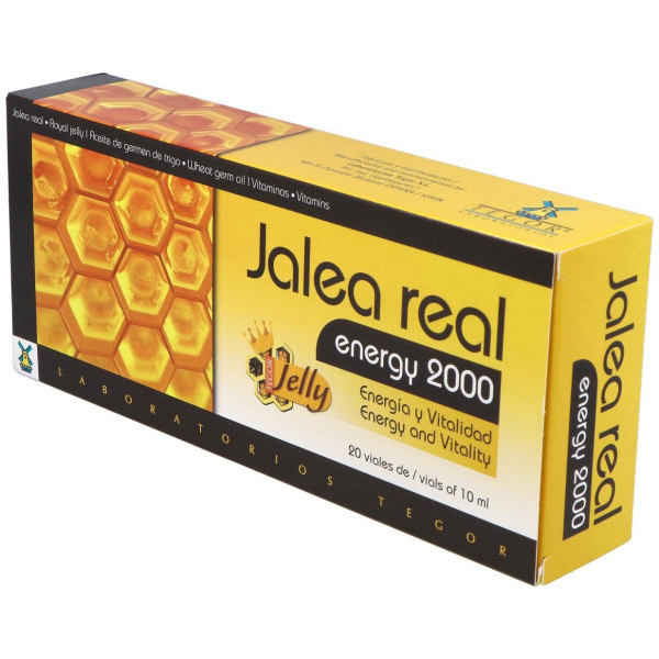 Tegor Energy 2000 Jalea Real 20Amp