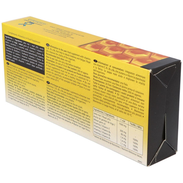 Tegor Energy 2000 Jalea Real 20Amp