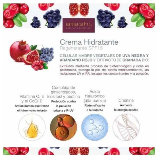 Atashi® Antioxidante Crema Hidratante Regenerante Longévité Spf15 50Ml