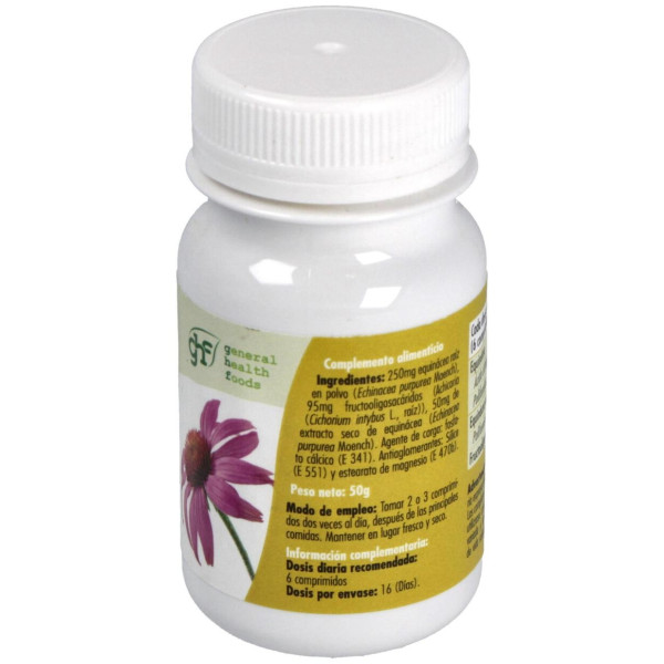 Echinacea 500Mg. 100Comp.