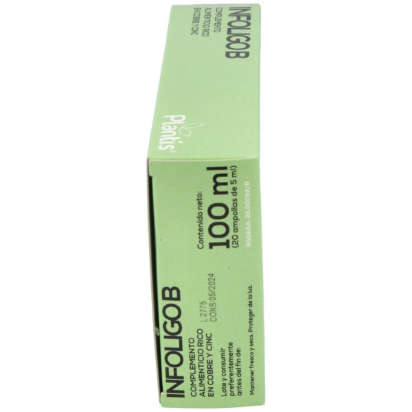 Artesania Agricola Infoligo B