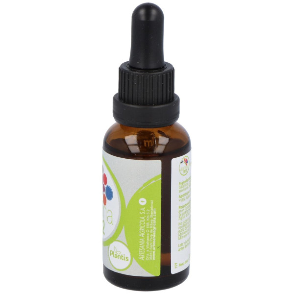 Vitamina B12 Liquida 30Ml.