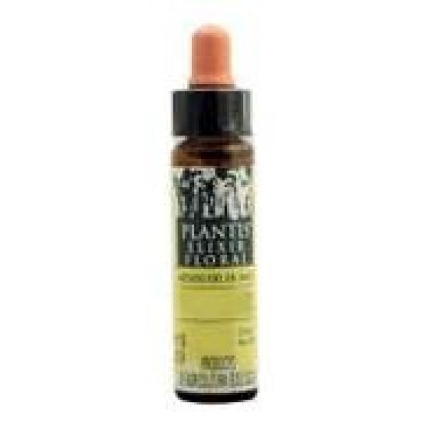 Cherry Plum Plantis Flores De Bach Nº 06 10Ml.