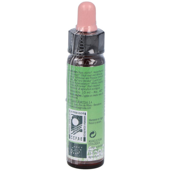 Remedio Plantis Nº 4 Temores-Inseguridades 10Ml.