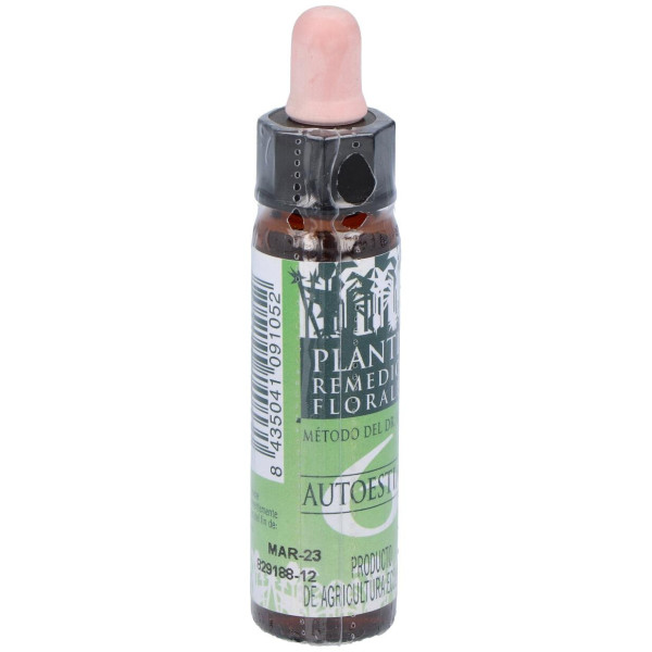 Remedio Plantis Nº 6 Autoestima 10Ml. Eco
