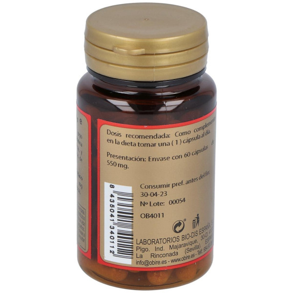 Arandano 1000Mg 60 Caps.